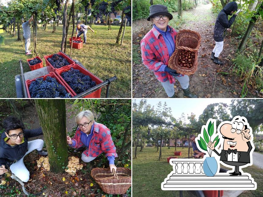 Gli esterni di Agriturismo Pescarolo Molino Miradolo