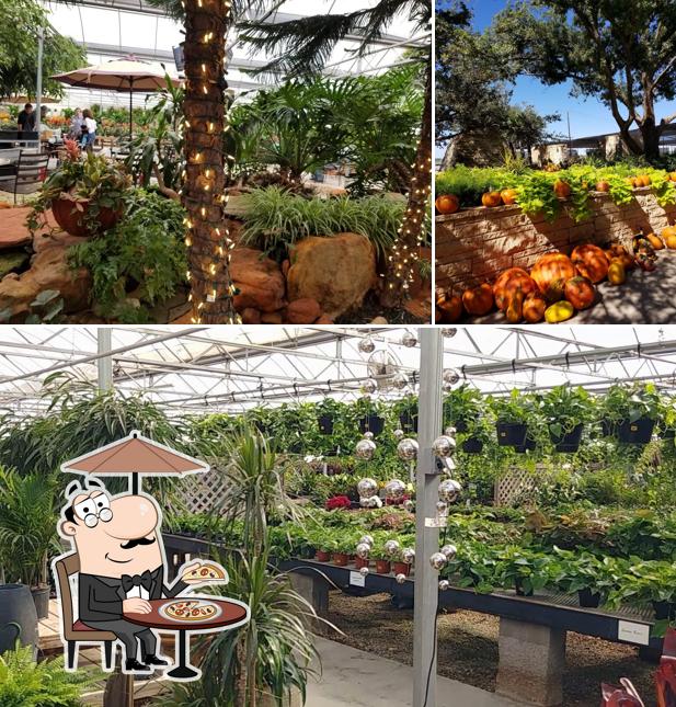 Alldredge Gardens in Midland Restaurant menu and reviews