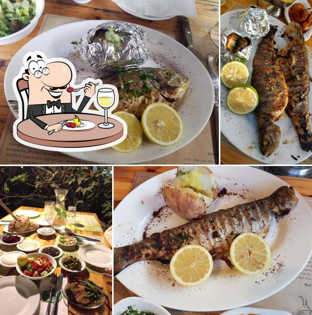 Dag Al Dan restaurant, Qiryat Shemona Restaurant menu and reviews