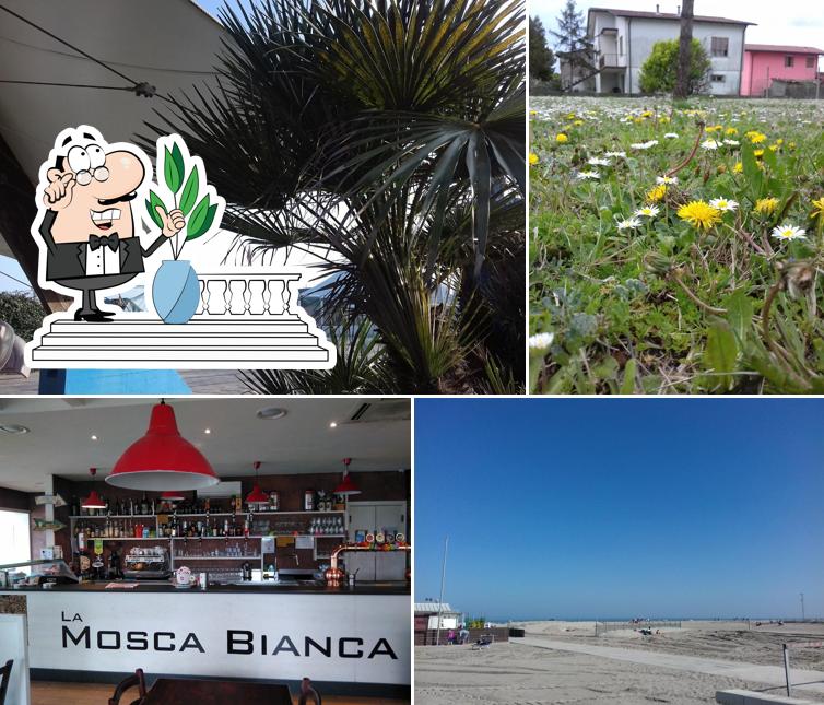 La Mosca Bianca