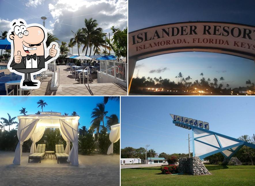 Tides Beachside Bar & Grill in Islamorada Restaurant menu and reviews