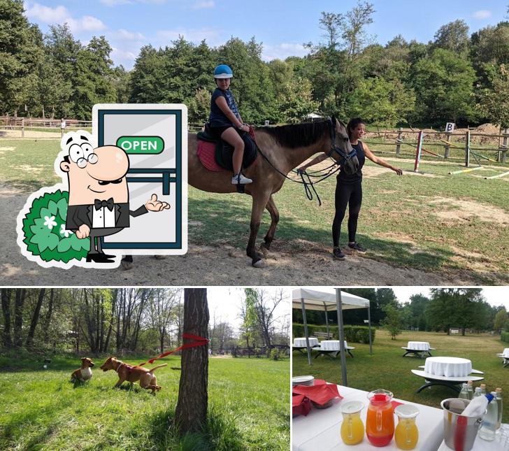 La immagine di esterno e bevanda da Agriturismo Parco Campofelice