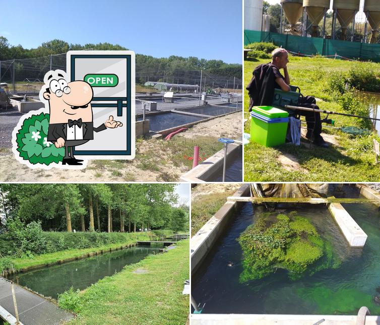 Profitez de la vue extérieure de Pisciculture du Moulin du Roy