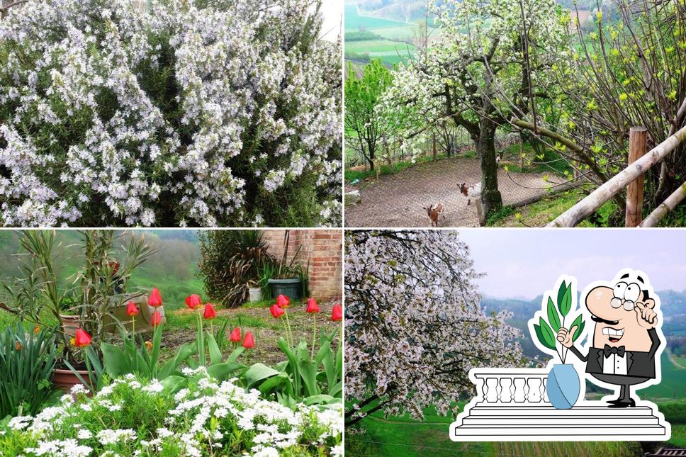 Guarda gli esterni di Agriturismo Cascina Santa Vittoria