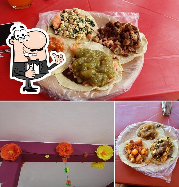 Tacos de guisado El Nopal restaurant, Leona Vicario Restaurant reviews