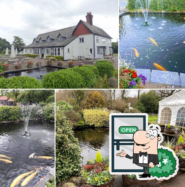 The John Barleycorn in Harlow Restaurant menu and reviews