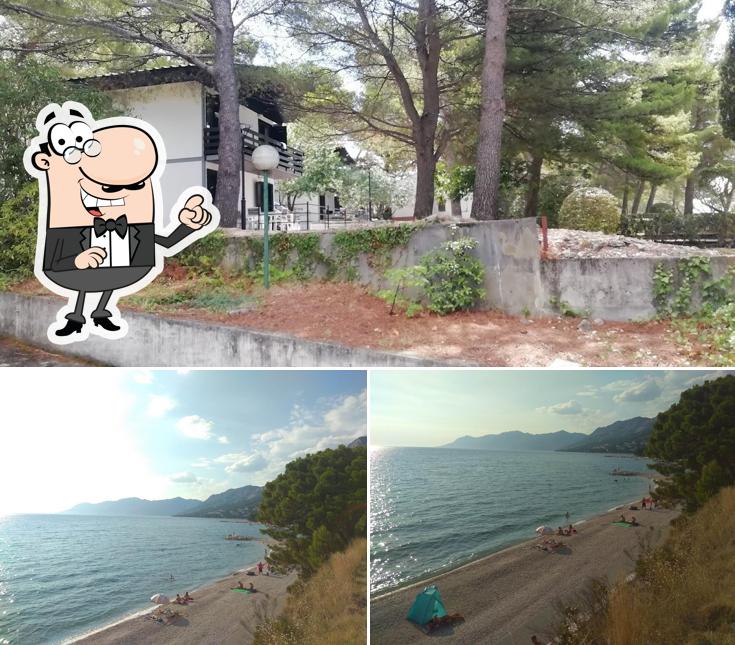 Guarda gli esterni di Beach Bar Oseka