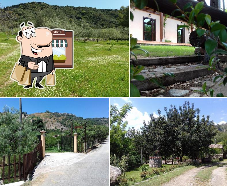 Azienda Agrituristica Agnellida