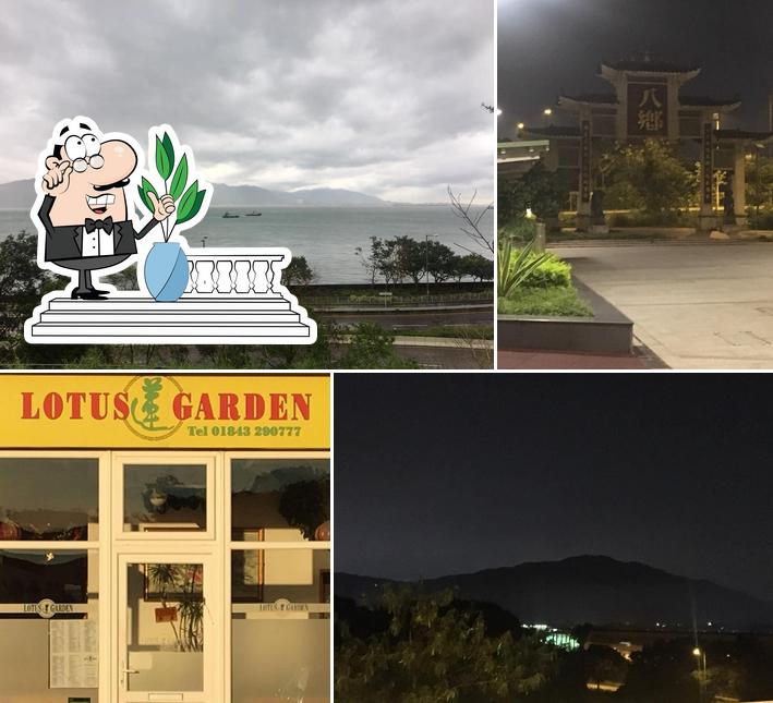 Lotus Garden in Margate Restaurant reviews