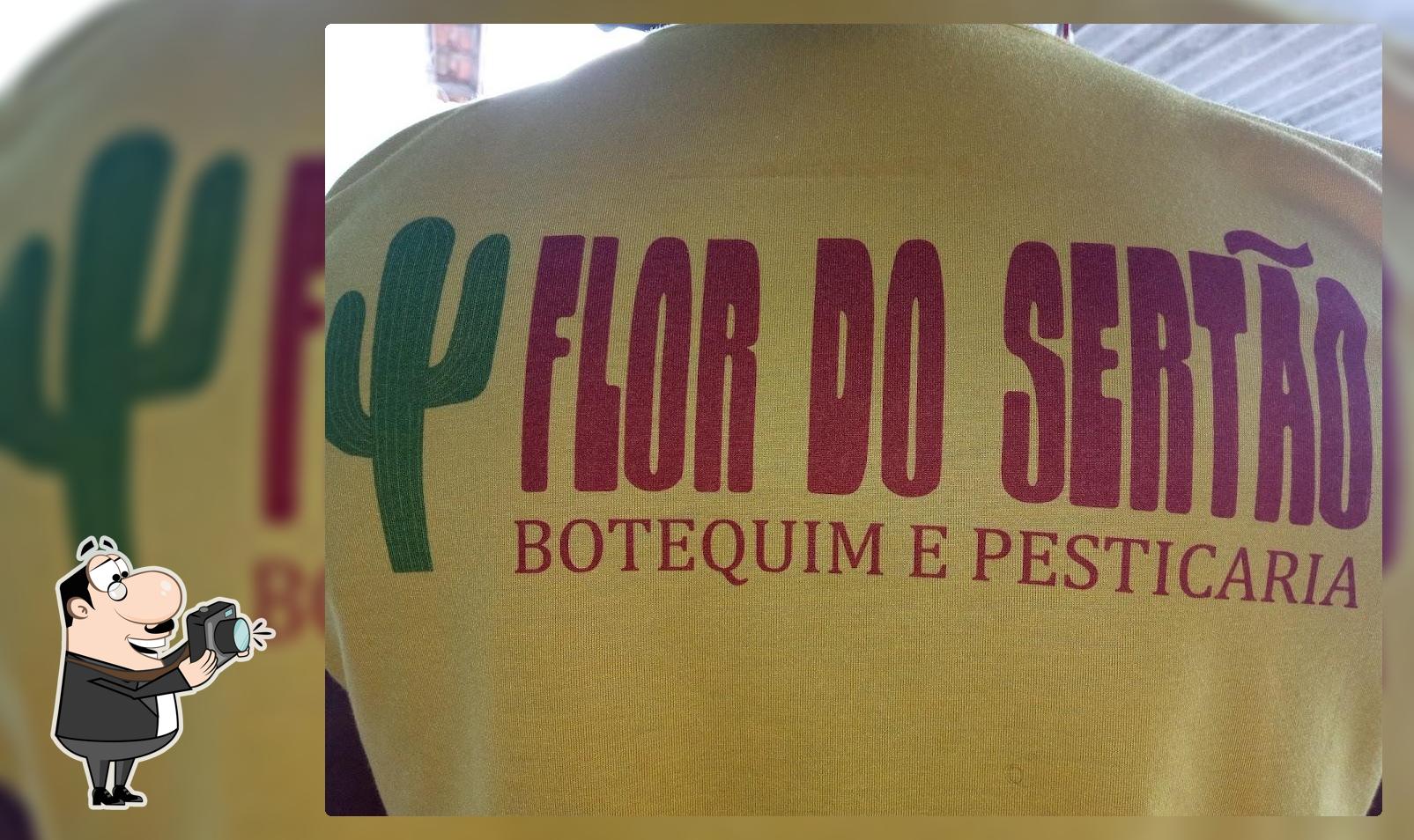 Flor do sertão foto