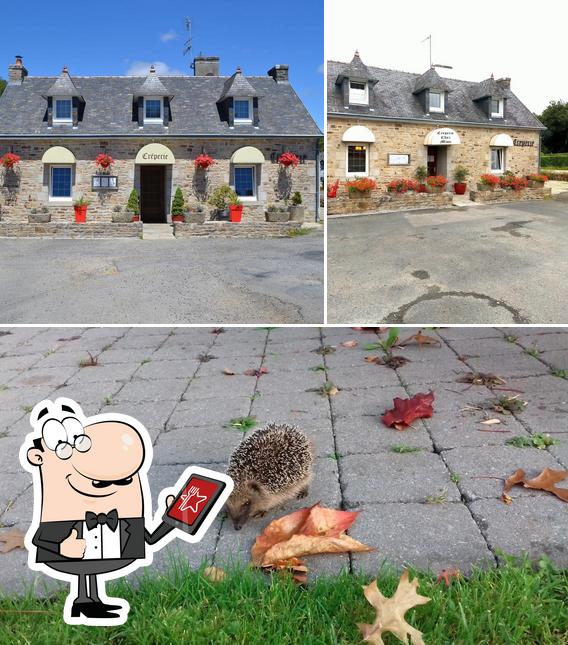Chez Mimi Pleuven