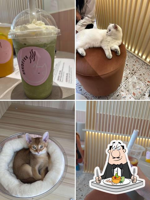 Cibo al Nekoffee 喵茶