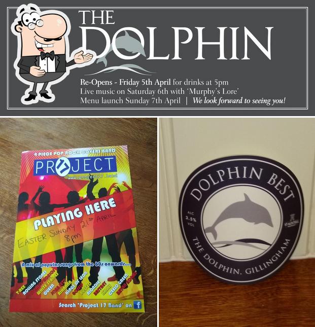 The Dolphin Inn, Peacemarsh in Gillingham Restaurant menu and reviews