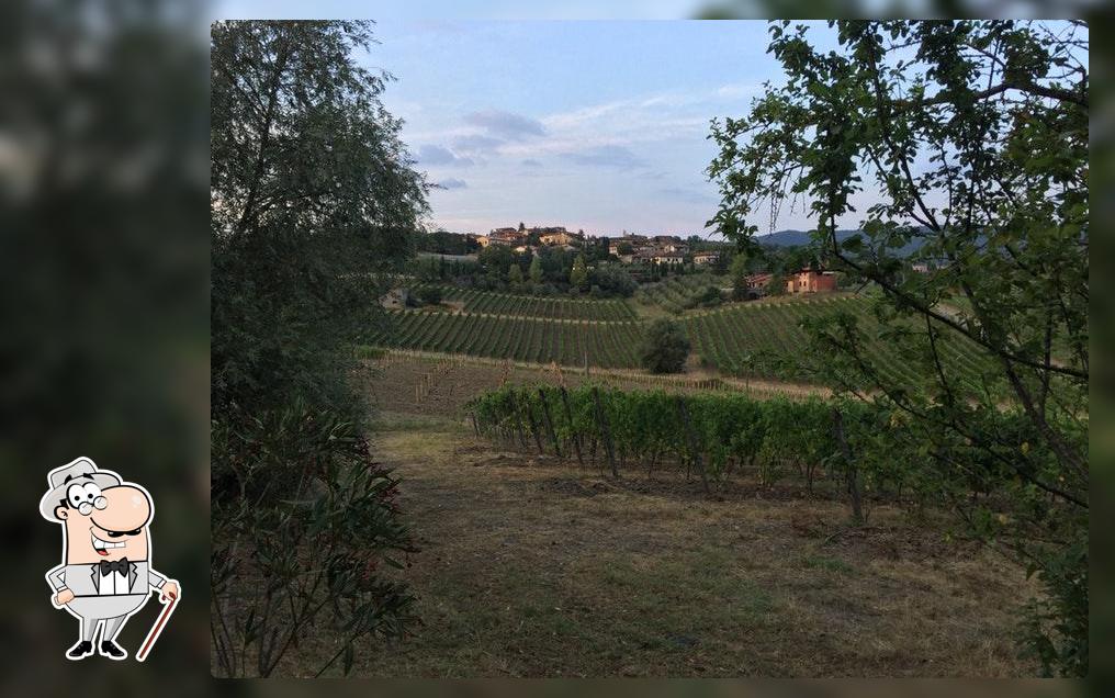 Ristorante le vigne