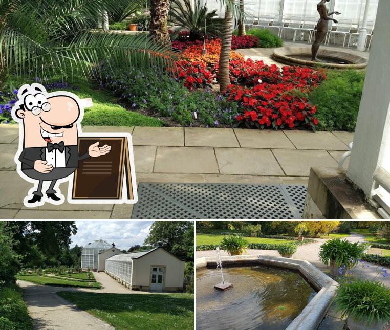 Einkehr Am Palmenhaus Pillnitz Restaurant Ferienwohnung Und Pension