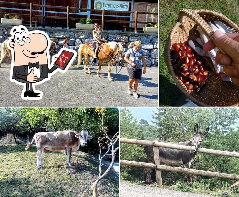 Bioparco della Valle delle Sorgenti