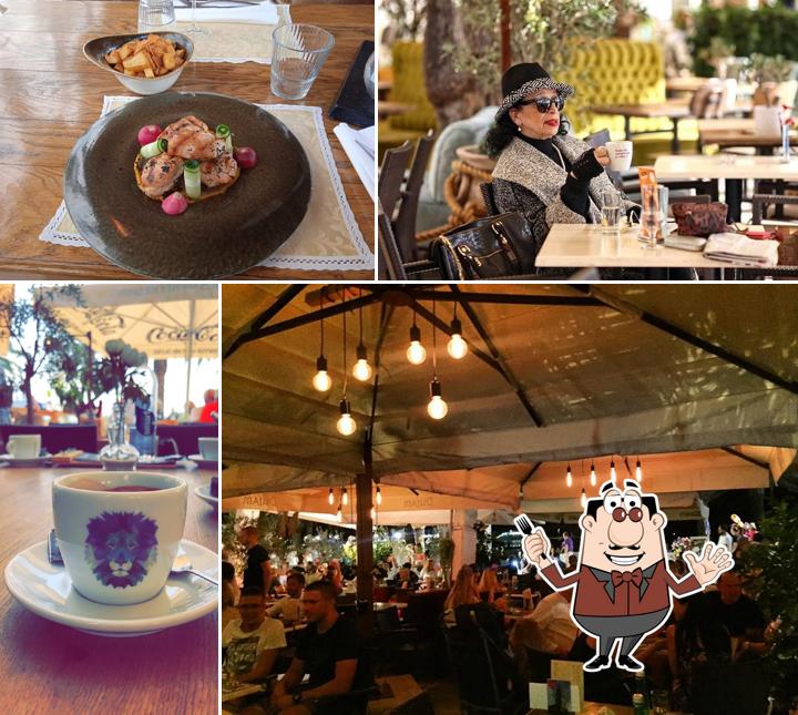 Cibo al Caffe bar Dujam