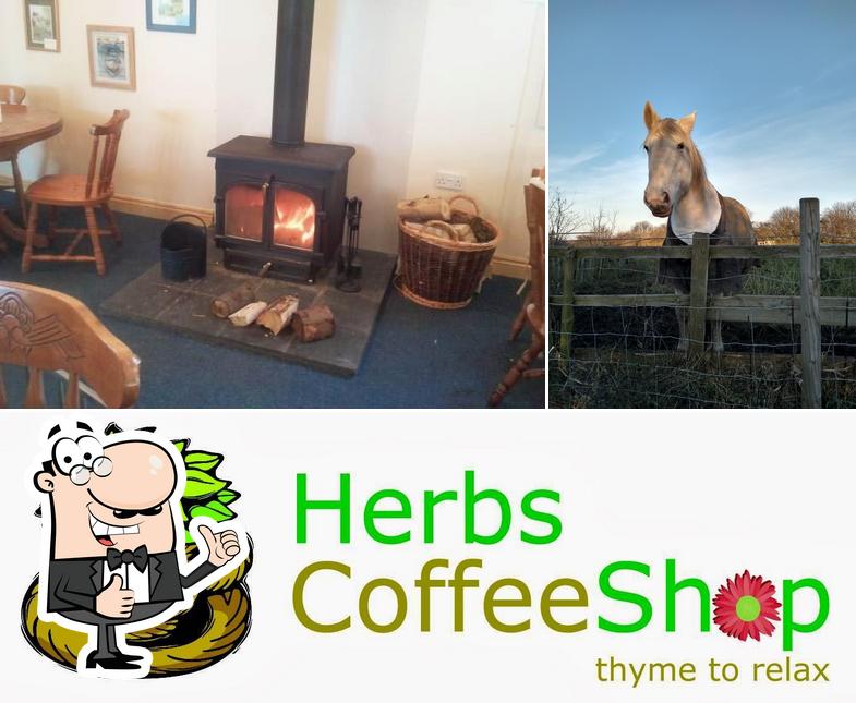 Earsdon Plants Centre in Whitley Bay Restaurant reviews