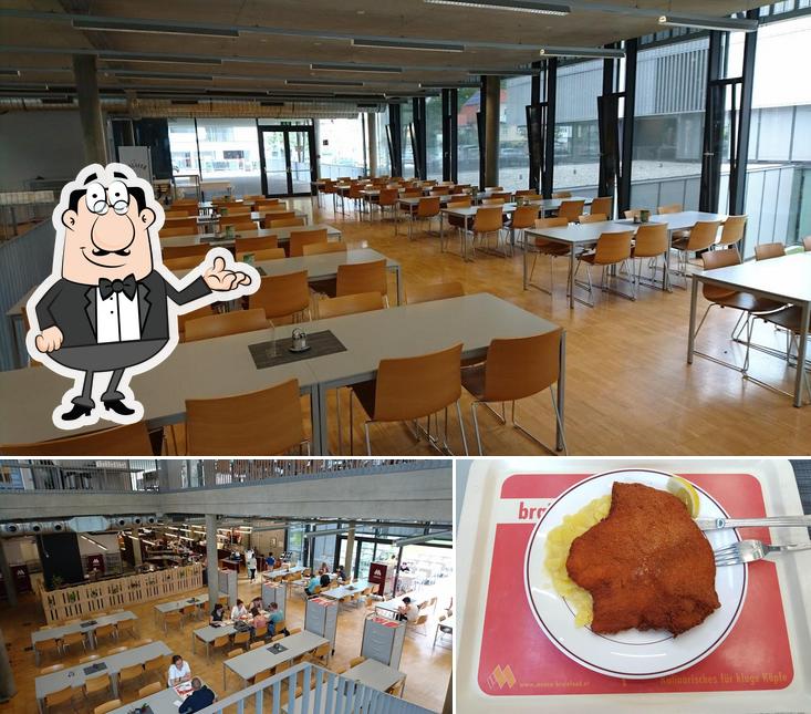 Among different things one can find interior and food at Mensa Campus Krems