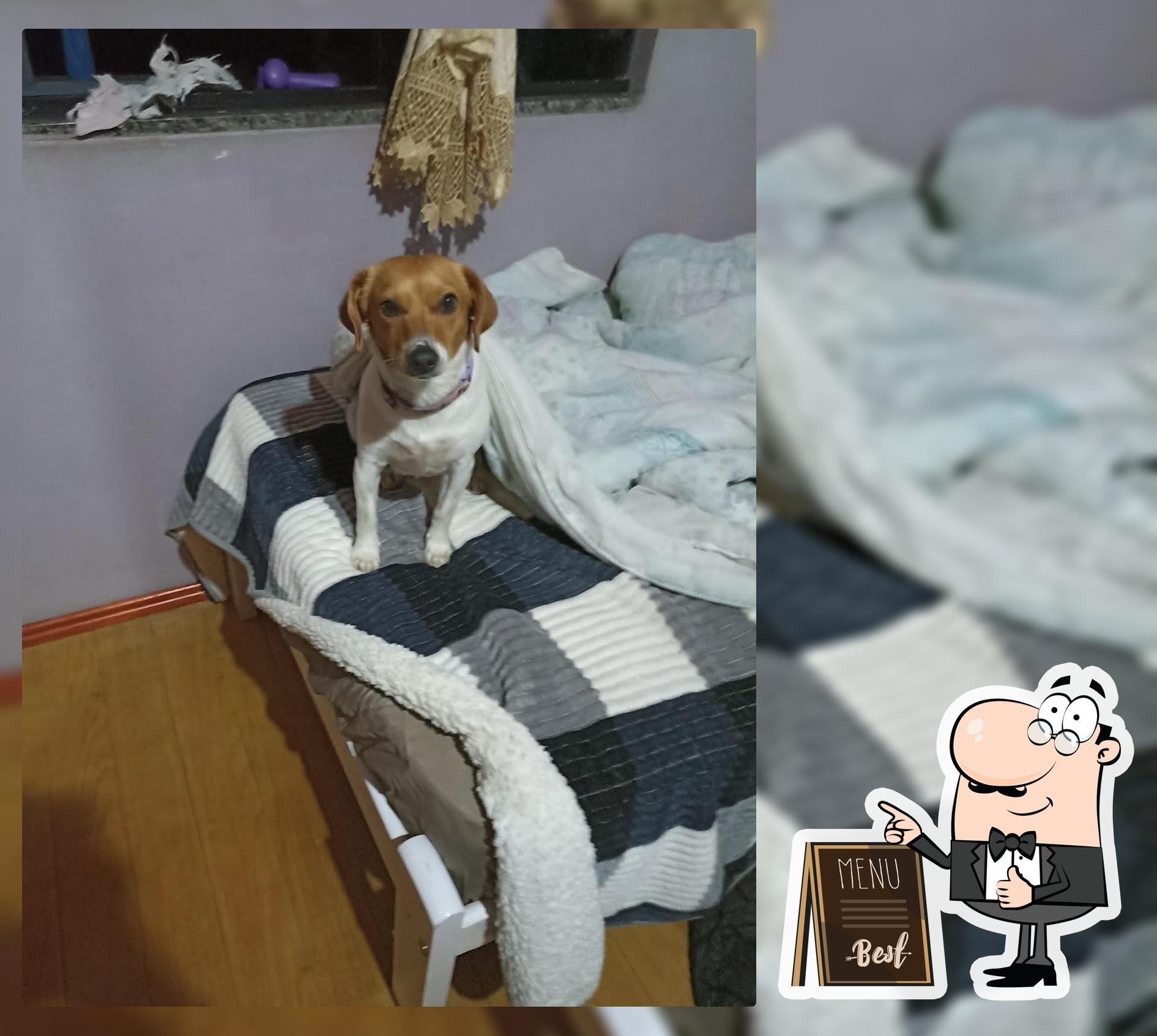 Paniburguer