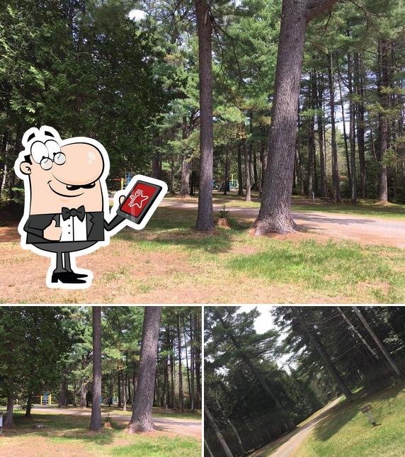 Enclosure Campground & Flo's Hideaway in Canada Restaurant reviews