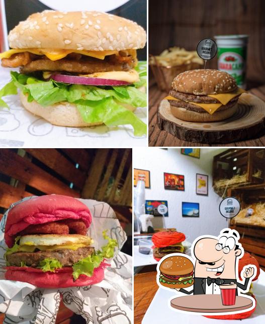 Gourmet Insano