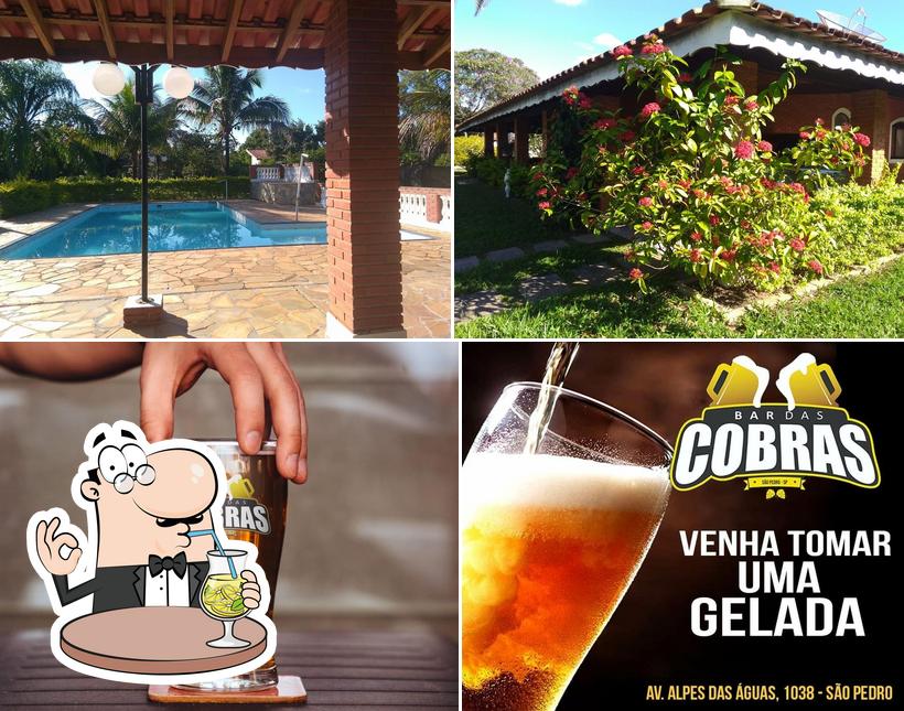 O Bar das Cobras se destaca pelo bebida e exterior