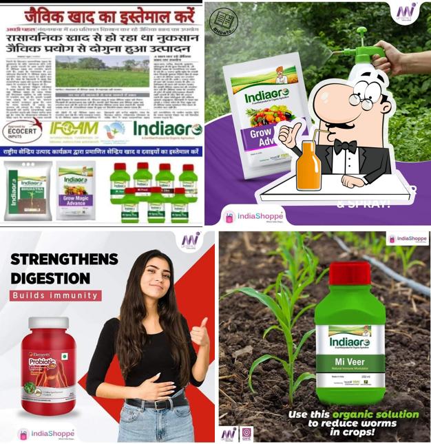 Chotu chai vala