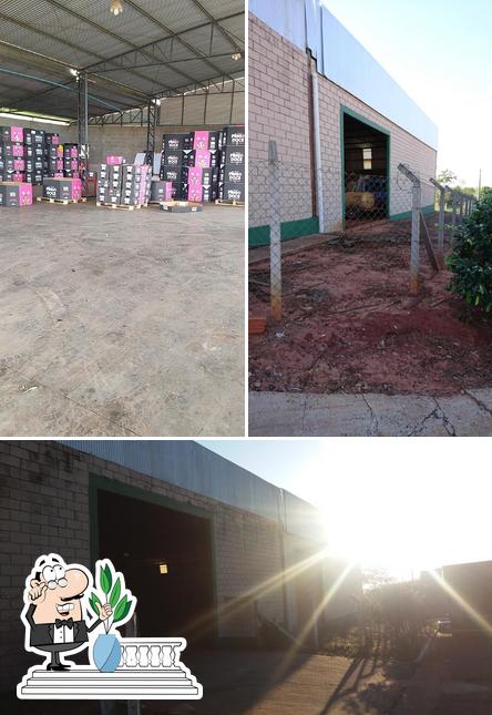 Tutu Transportes