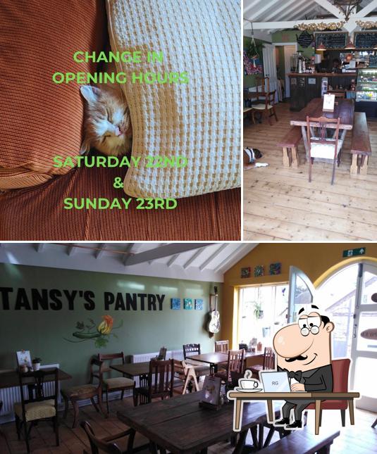 Tansy's Pantry in Ventnor Restaurant menu and reviews