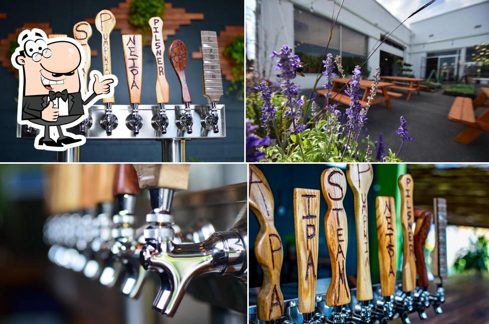 Rockfish Brewing Company in Charlottesville Restaurant menu and reviews