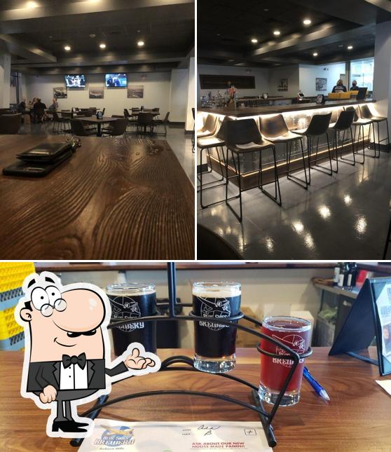 Blue Skies Brewery in Auburn Hills Restaurant reviews