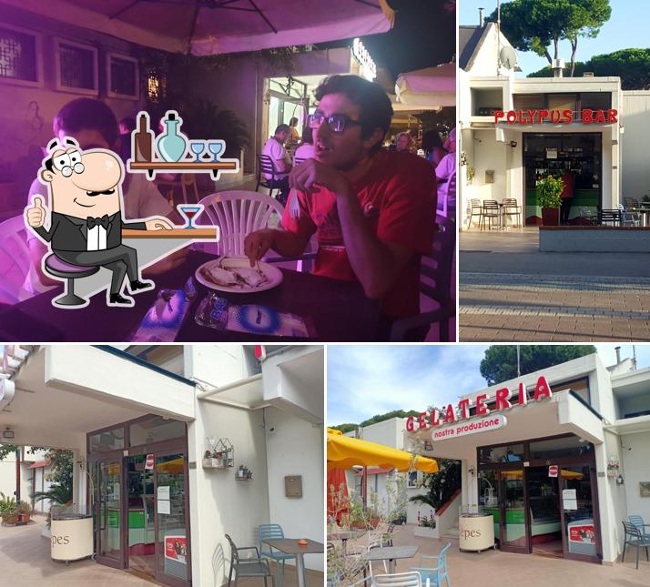 Polypus Bar Gelateria