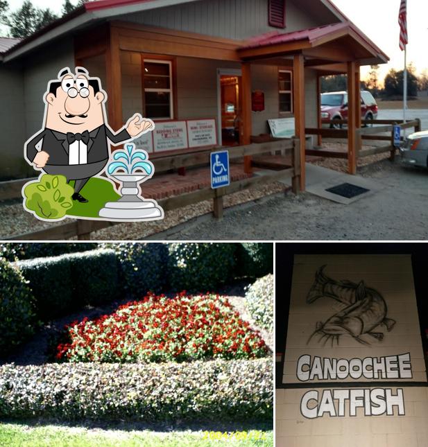 Canoochee Catfish in Canoochee Seafood restaurant menu and reviews