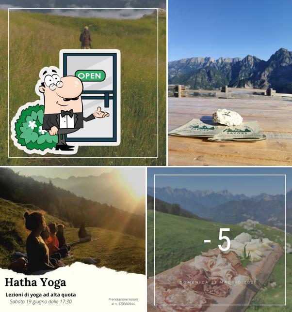 Malga Fara - Consorzio delle Valli e delle Dolomiti Friulane