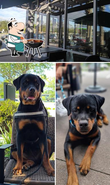 Starbucks, 11441 San Jose Blvd in Jacksonville Restaurant menu and