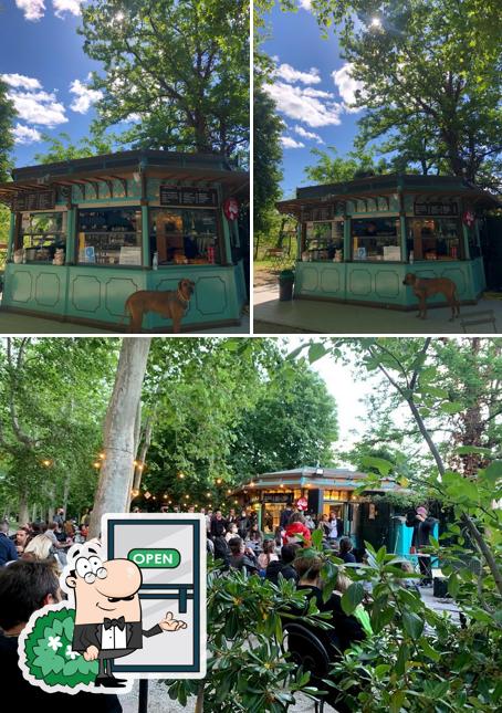 Gli esterni di Frida nel Parco
