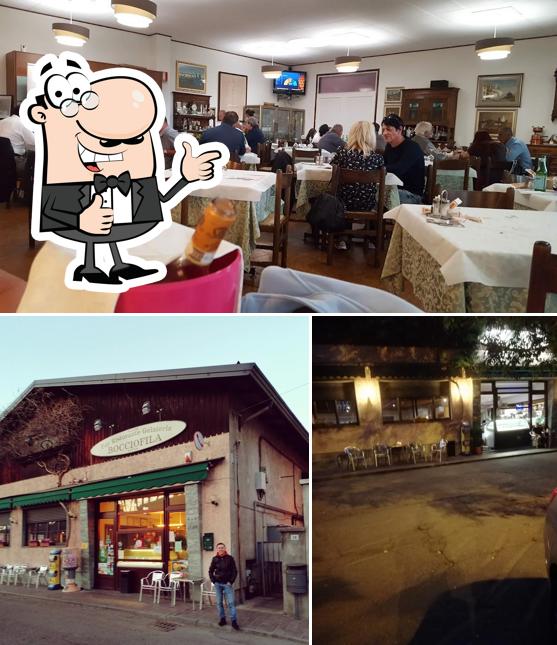 Ecco una foto di Ristorante Bar Bocciofila