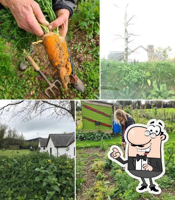Riverford Field Kitchen Organic Restaurant in Buckfastleigh