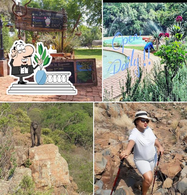 Hornbill Lodge restaurant, Magaliesburg Restaurant menu and reviews