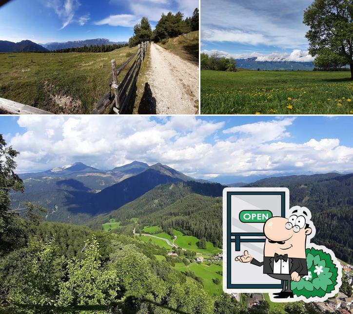 Goditi la vista dall'area esterna di Malga Cislon