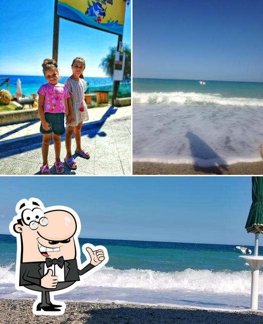 Lido Barracuda