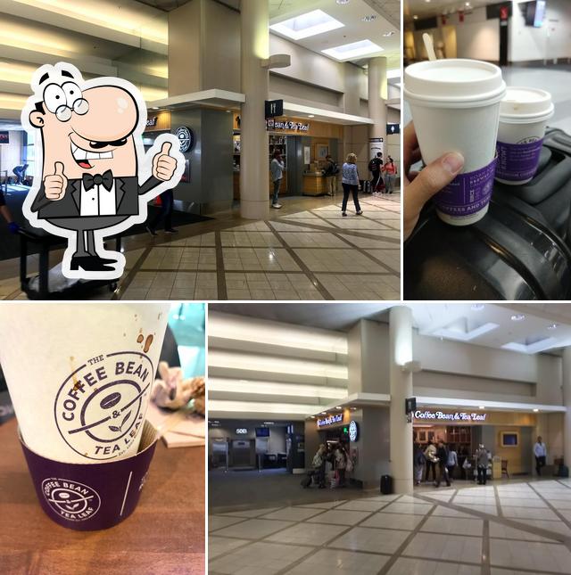 The Coffee Bean in Los Angeles Restaurant reviews