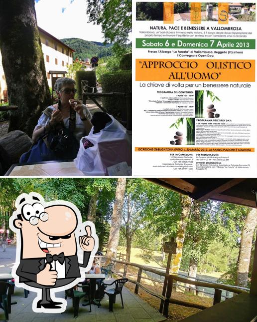 La Foresta bike bar, Vallombrosa Recensioni del ristorante