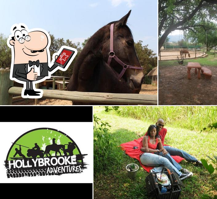 Hollybrooke Adventure Farm restaurant, Hartbeespoort - Restaurant reviews