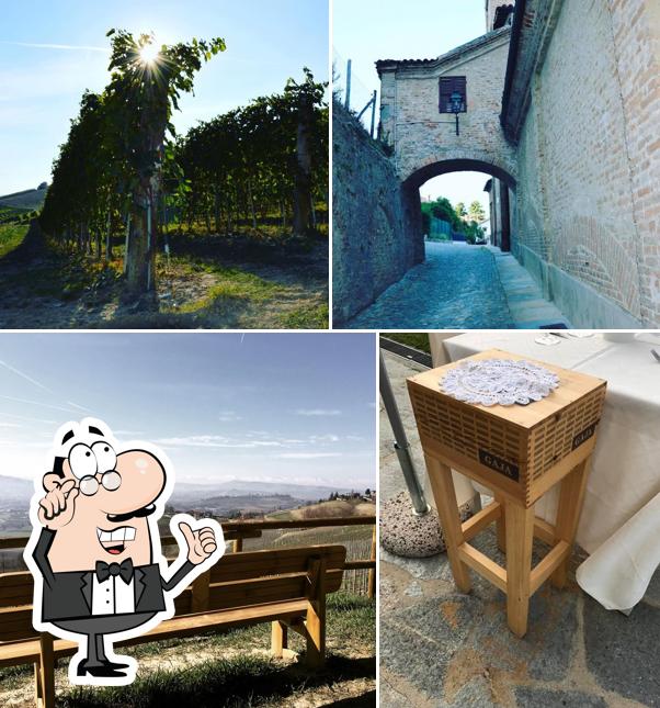 Tra le diverse cose da IL Belvedere Wine & Food si possono trovare la interni e esterno