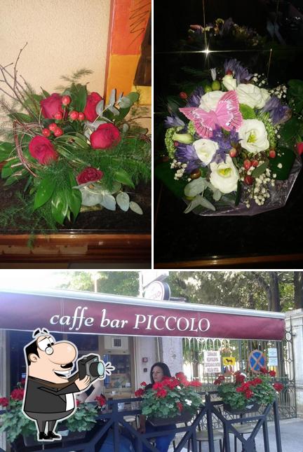 Ecco una foto di Caffe Bar "PICCOLO"