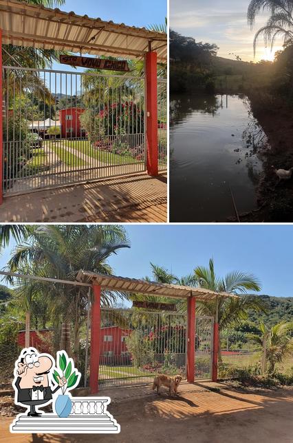 Sítio vovô Chico