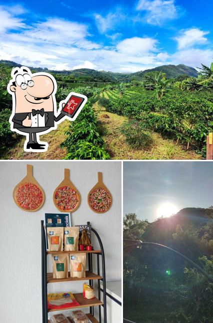 Casa Branca Orgânica - Cafés Gourmets e Especiais