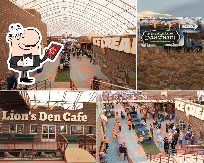 Lion's Den Café, Estados Unidos Opiniones del restaurante